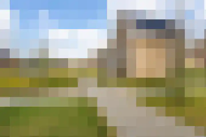 Steven Peltplantsoen 2 Veenendaal thumbnail 36
