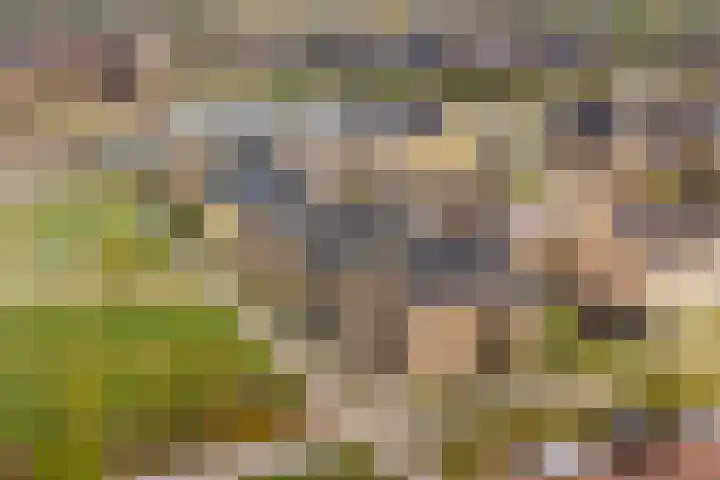 Steven Peltplantsoen 2 Veenendaal thumbnail 37