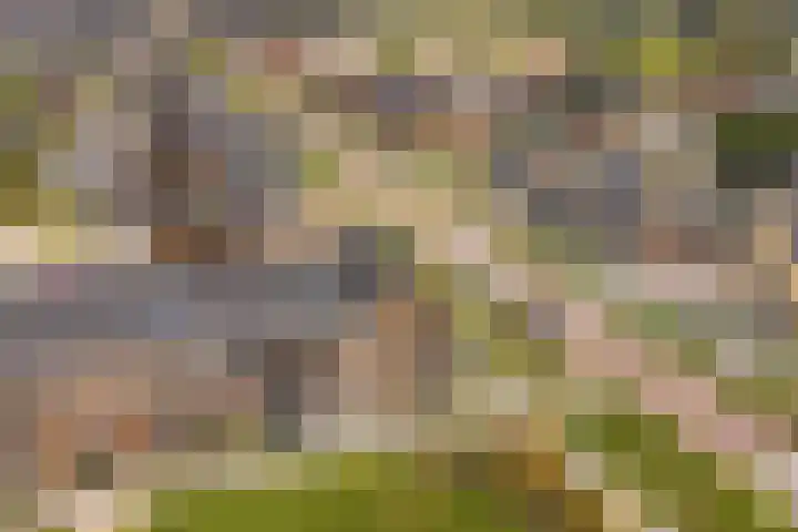 Steven Peltplantsoen 2 Veenendaal thumbnail 38