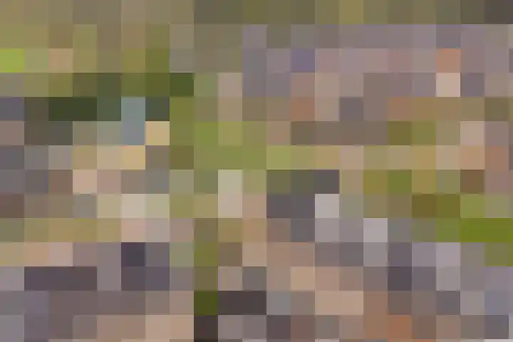 Steven Peltplantsoen 2 Veenendaal thumbnail 39