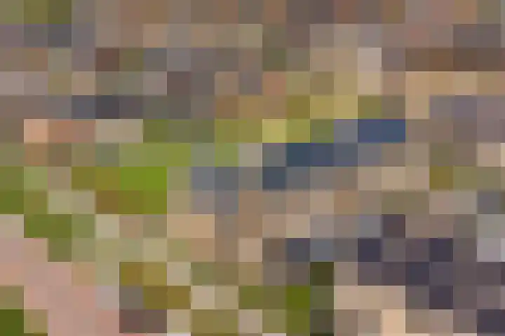 Steven Peltplantsoen 2 Veenendaal thumbnail 40