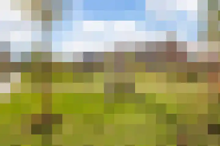 Steven Peltplantsoen 2 Veenendaal thumbnail 41