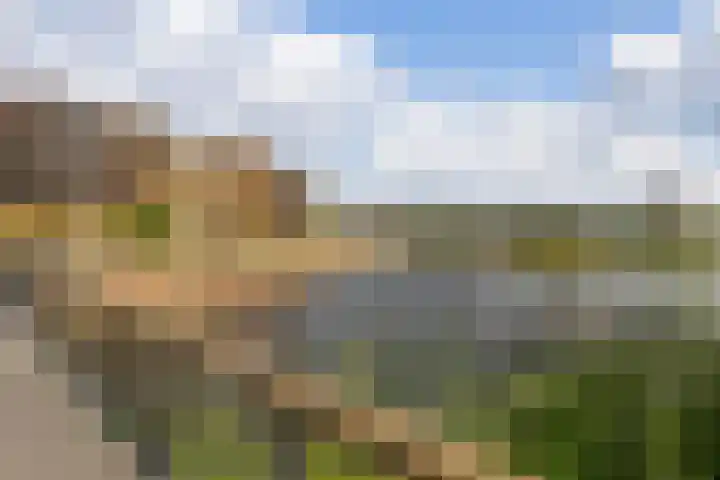 Steven Peltplantsoen 2 Veenendaal thumbnail 42