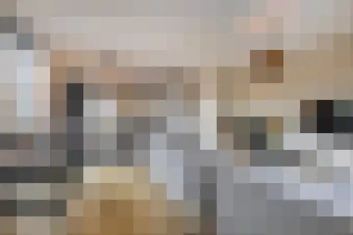 Steven Peltplantsoen 2 Veenendaal thumbnail 6