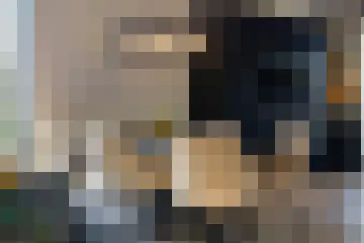 Steven Peltplantsoen 2 Veenendaal thumbnail 7