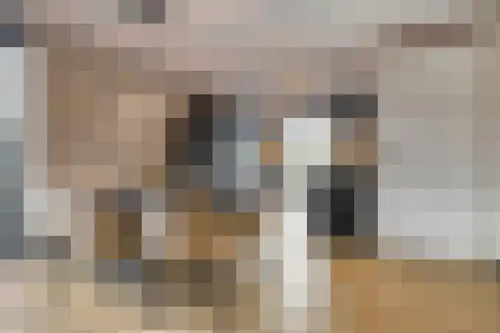 Steven Peltplantsoen 2 Veenendaal thumbnail 8