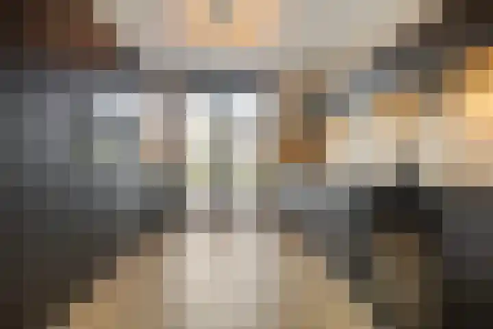 Steven Peltplantsoen 2 Veenendaal thumbnail 9