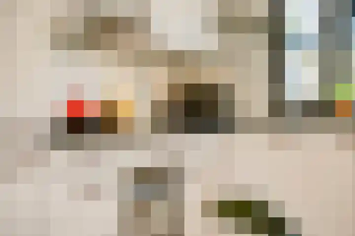 Steven Peltplantsoen 3 Veenendaal thumbnail 10