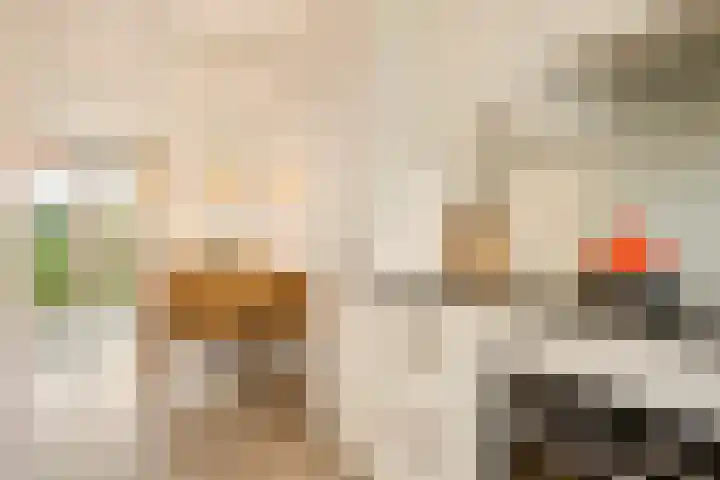 Steven Peltplantsoen 3 Veenendaal thumbnail 11
