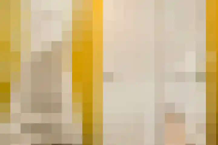 Steven Peltplantsoen 3 Veenendaal thumbnail 12