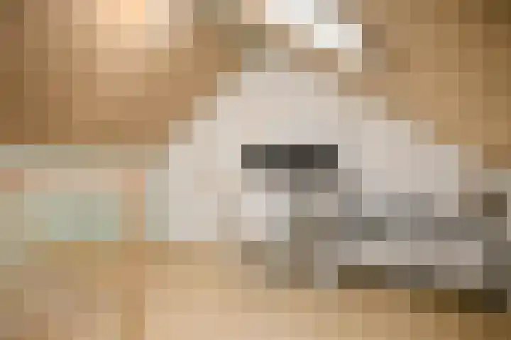 Steven Peltplantsoen 3 Veenendaal thumbnail 20