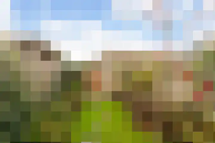 Steven Peltplantsoen 3 Veenendaal thumbnail 21