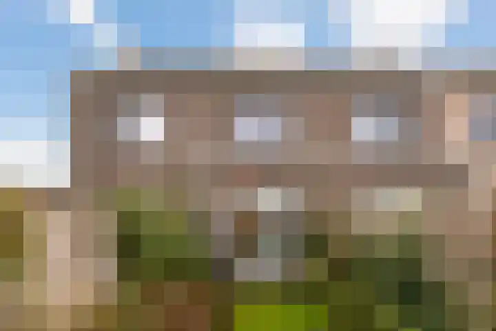 Steven Peltplantsoen 3 Veenendaal thumbnail 22