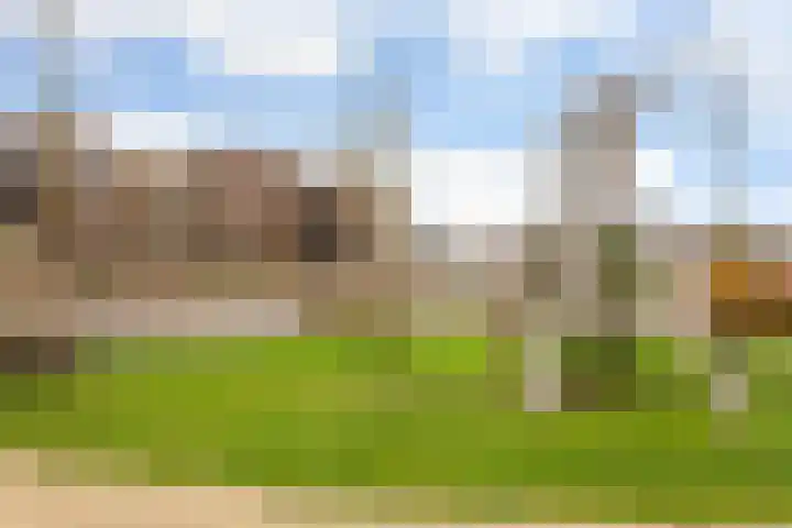 Steven Peltplantsoen 3 Veenendaal thumbnail 24
