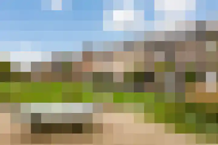 Steven Peltplantsoen 3 Veenendaal thumbnail 25