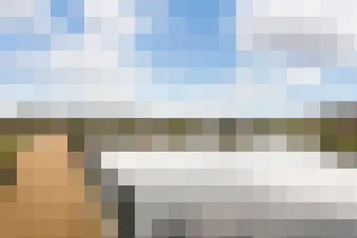 Steven Peltplantsoen 3 Veenendaal thumbnail 26