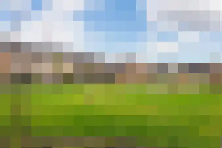 Steven Peltplantsoen 3 Veenendaal thumbnail 27