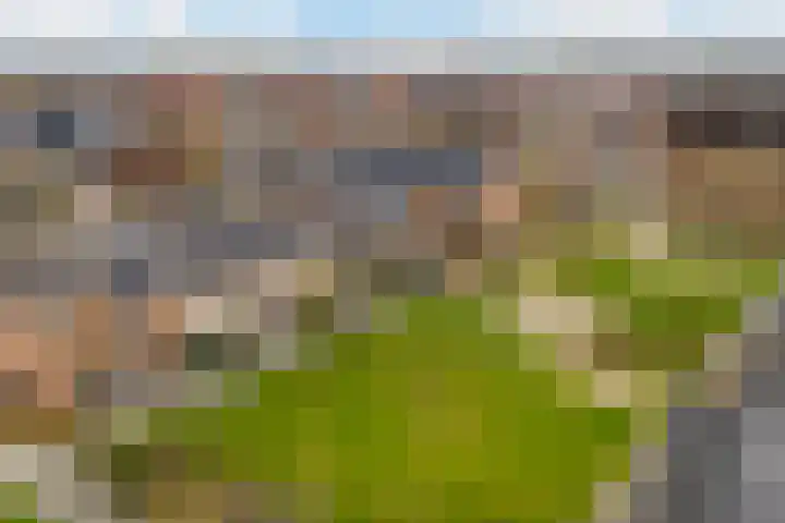 Steven Peltplantsoen 3 Veenendaal thumbnail 28