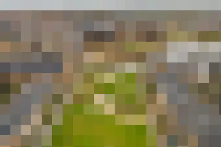 Steven Peltplantsoen 3 Veenendaal thumbnail 29