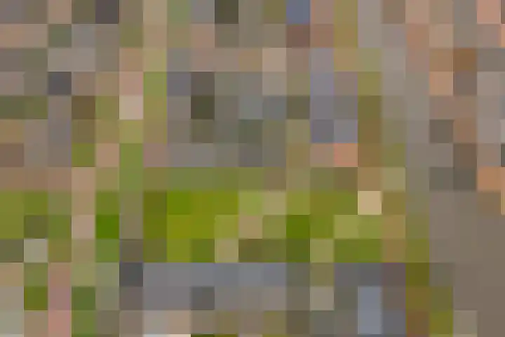 Steven Peltplantsoen 3 Veenendaal thumbnail 30