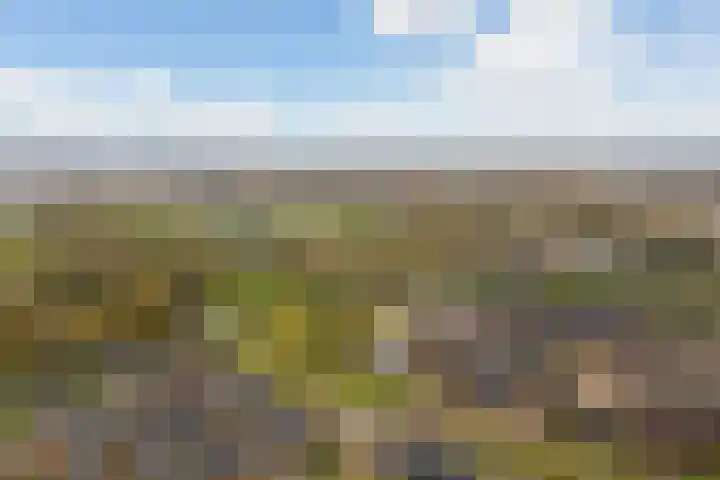 Steven Peltplantsoen 3 Veenendaal thumbnail 31