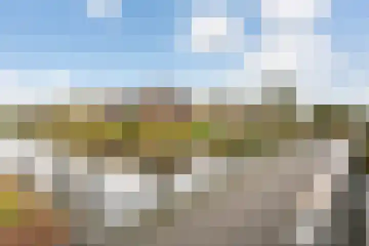 Steven Peltplantsoen 3 Veenendaal thumbnail 4