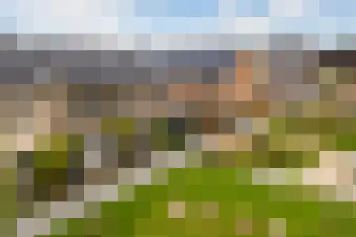 Steven Peltplantsoen 3 Veenendaal thumbnail 5