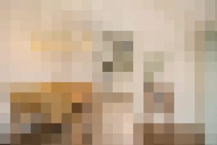 Steven Peltplantsoen 3 Veenendaal thumbnail 8