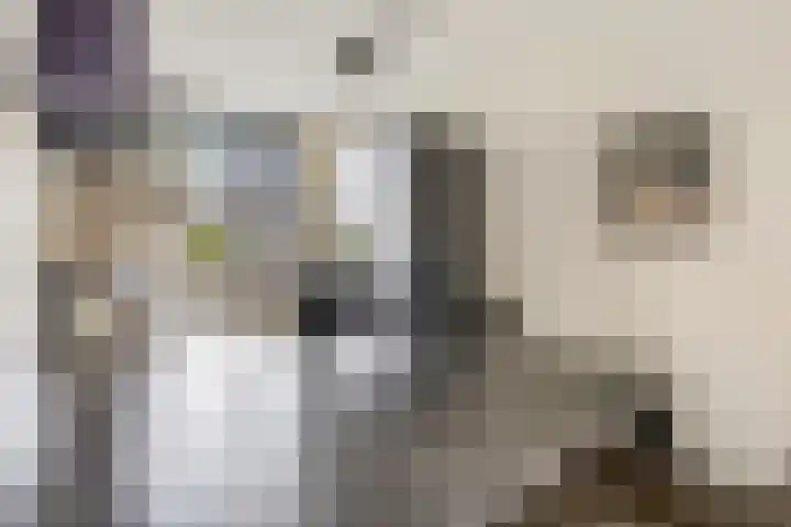Steven Peltplantsoen 6 Veenendaal thumbnail 10