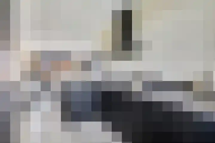 Steven Peltplantsoen 6 Veenendaal thumbnail 11