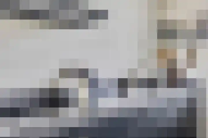 Steven Peltplantsoen 6 Veenendaal thumbnail 13