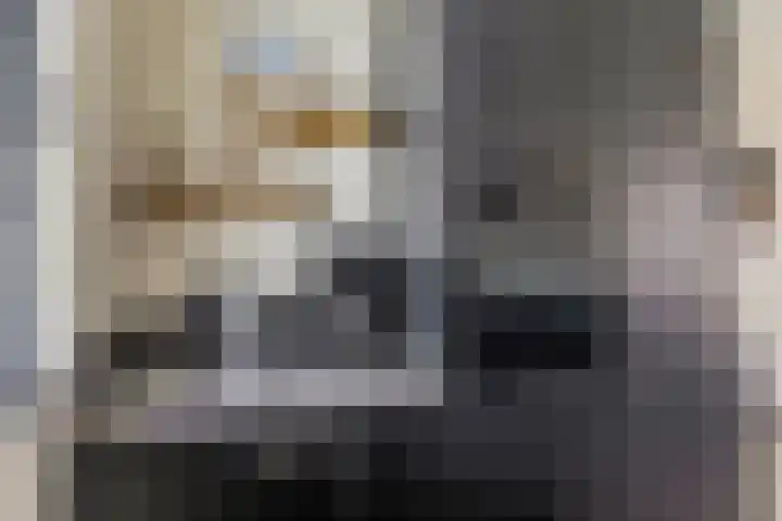 Steven Peltplantsoen 6 Veenendaal thumbnail 14