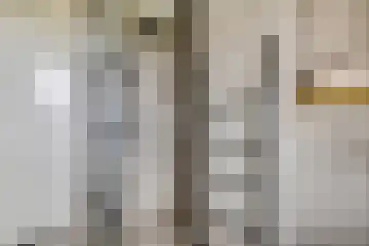 Steven Peltplantsoen 6 Veenendaal thumbnail 28