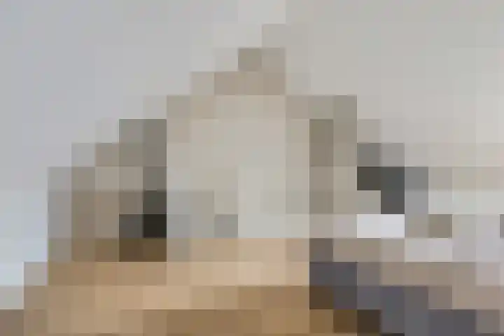 Steven Peltplantsoen 6 Veenendaal thumbnail 35