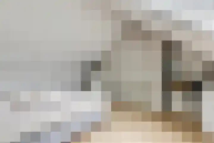 Steven Peltplantsoen 6 Veenendaal thumbnail 36