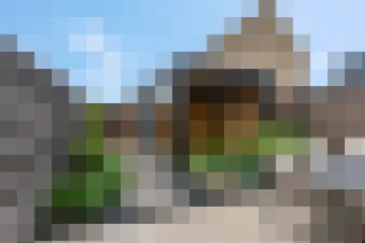Steven Peltplantsoen 6 Veenendaal thumbnail 37