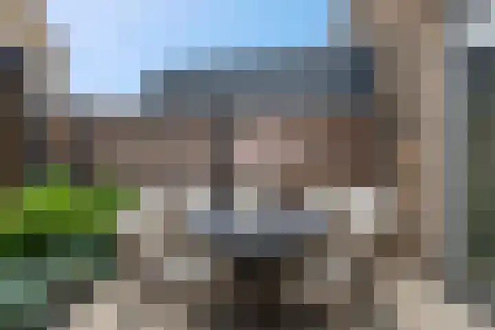 Steven Peltplantsoen 6 Veenendaal thumbnail 39