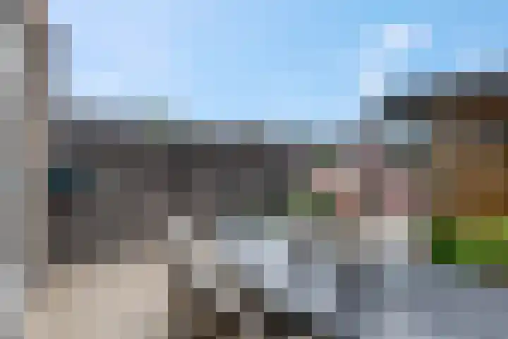 Steven Peltplantsoen 6 Veenendaal thumbnail 40