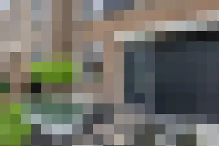 Steven Peltplantsoen 6 Veenendaal thumbnail 42