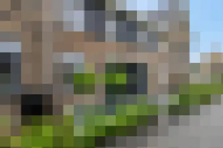 Steven Peltplantsoen 6 Veenendaal thumbnail 43