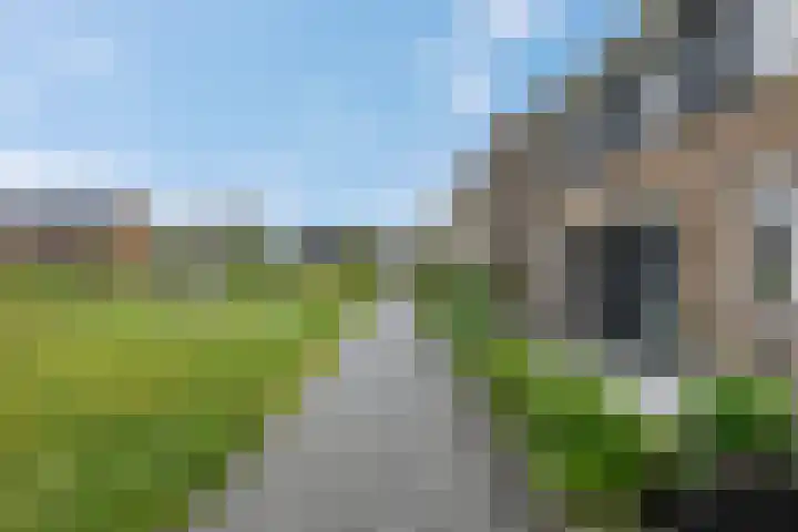 Steven Peltplantsoen 6 Veenendaal thumbnail 44