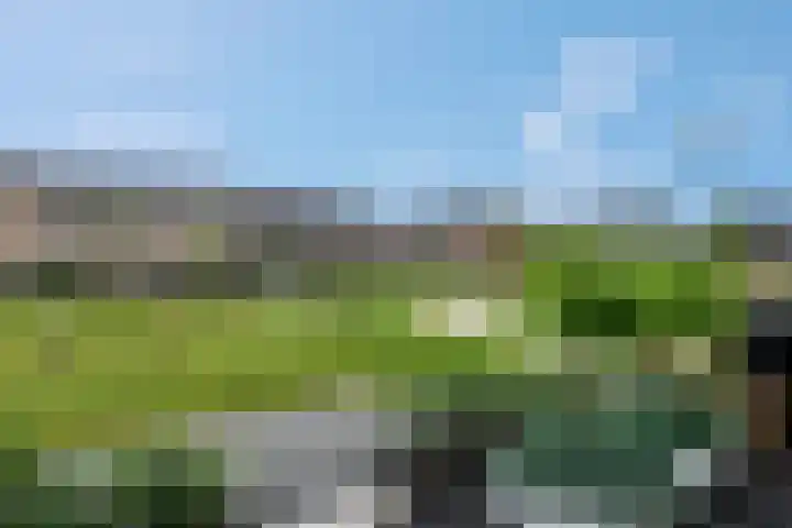 Steven Peltplantsoen 6 Veenendaal thumbnail 45