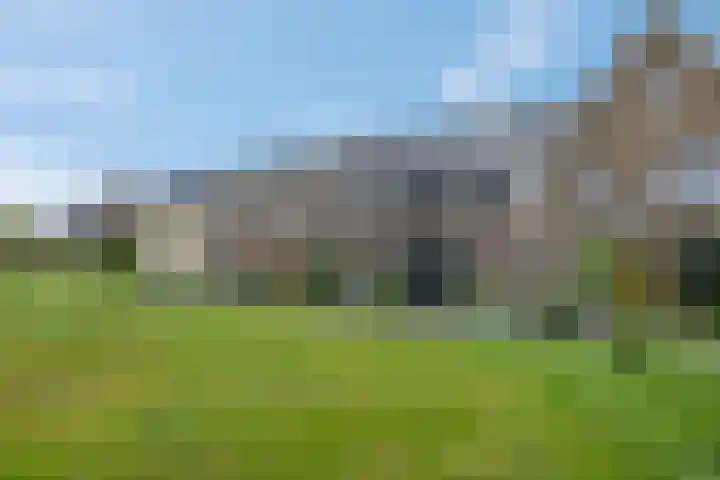 Steven Peltplantsoen 6 Veenendaal thumbnail 47