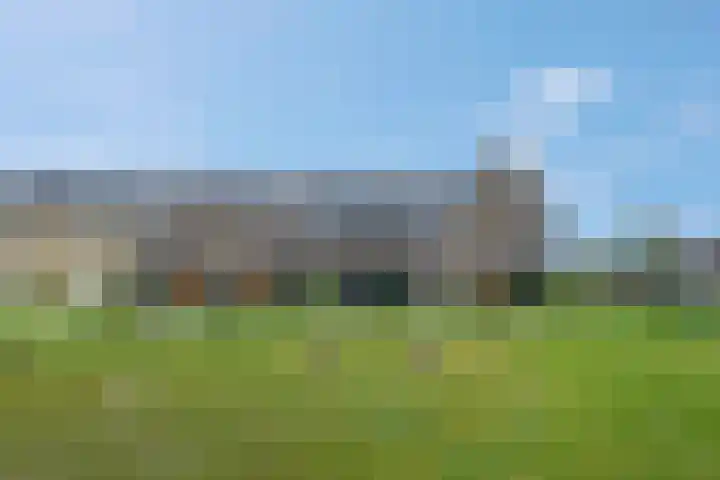 Steven Peltplantsoen 6 Veenendaal thumbnail 48