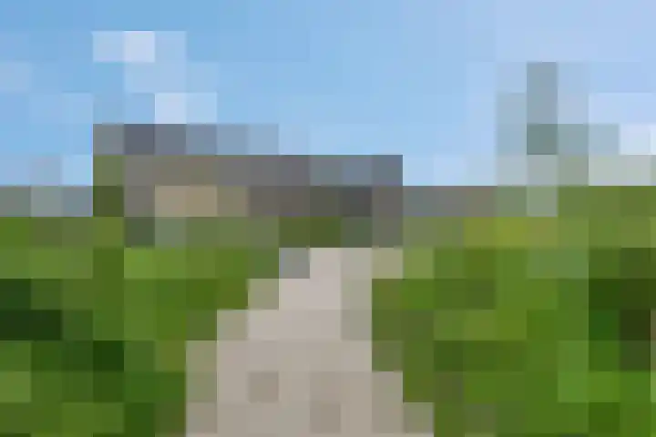 Steven Peltplantsoen 6 Veenendaal thumbnail 49