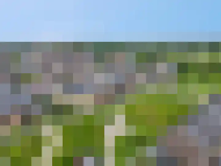 Steven Peltplantsoen 6 Veenendaal thumbnail 51