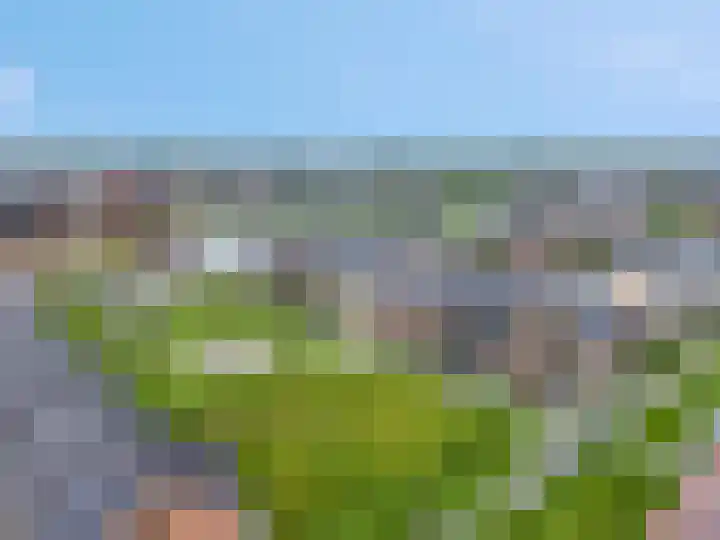 Steven Peltplantsoen 6 Veenendaal thumbnail 52