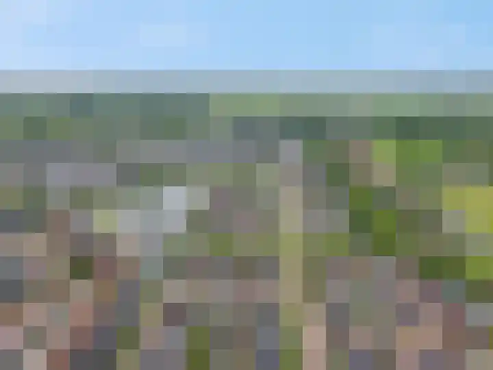 Steven Peltplantsoen 6 Veenendaal thumbnail 53
