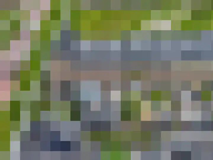 Steven Peltplantsoen 6 Veenendaal thumbnail 54
