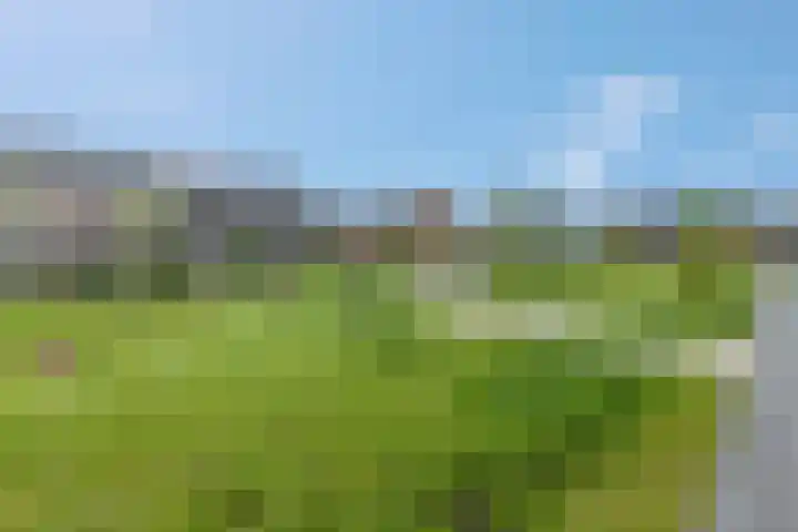 Steven Peltplantsoen 6 Veenendaal thumbnail 55